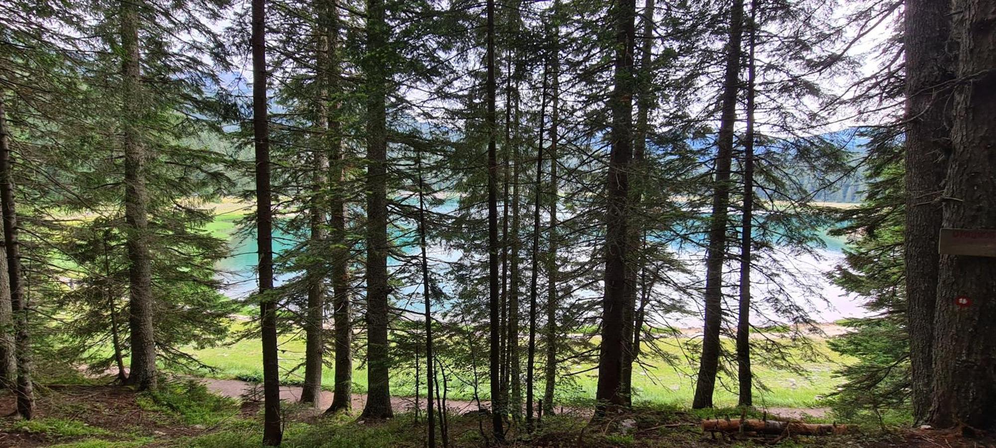 Mountain Villas Zabljak Dış mekan fotoğraf